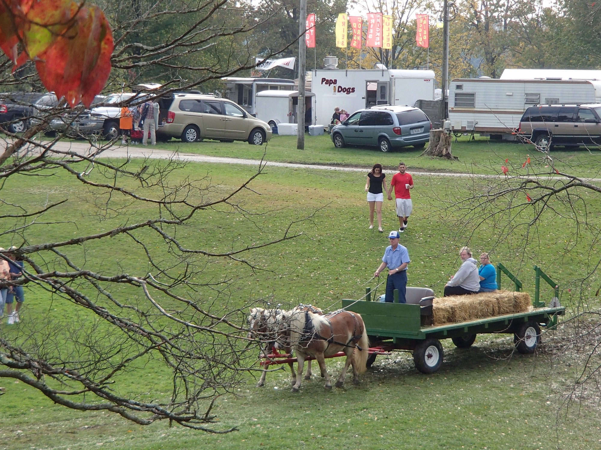 Horse Drawn Carriage